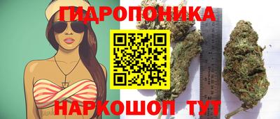 спиды Нальчик