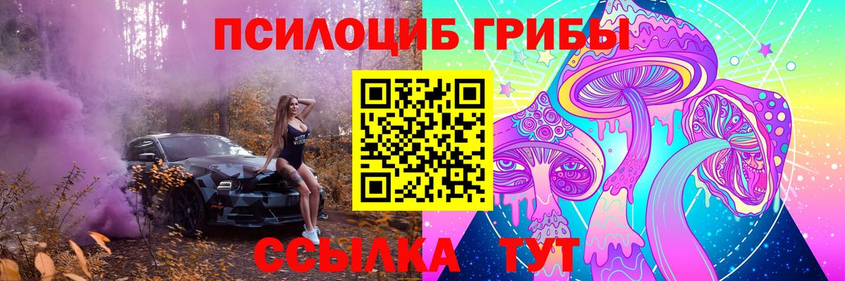 Псилоцибиновые грибы MAGIC MUSHROOMS  Вход с VPN  Трёхгорный 